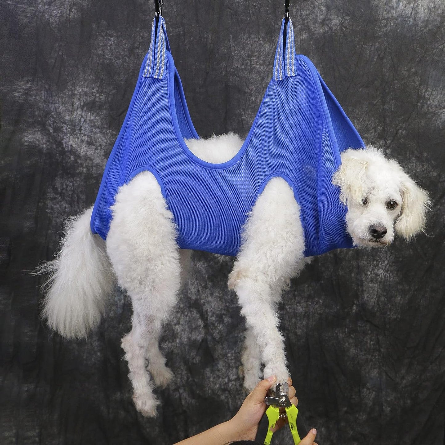 Dog Grooming Hammock,Small Medium Pet Dog Grooming Harness for Nail Trimming,Eyes,Ear,Mouth Care (M,Blue)