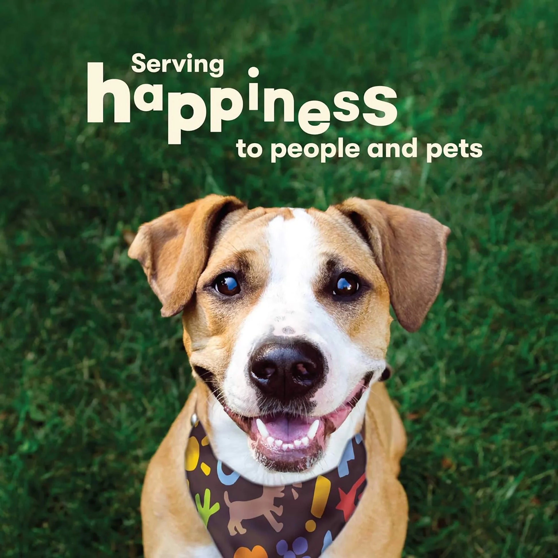 Chik 'N Skewers Dog Treats, 16 Oz Pet Treats in Resealable Bag