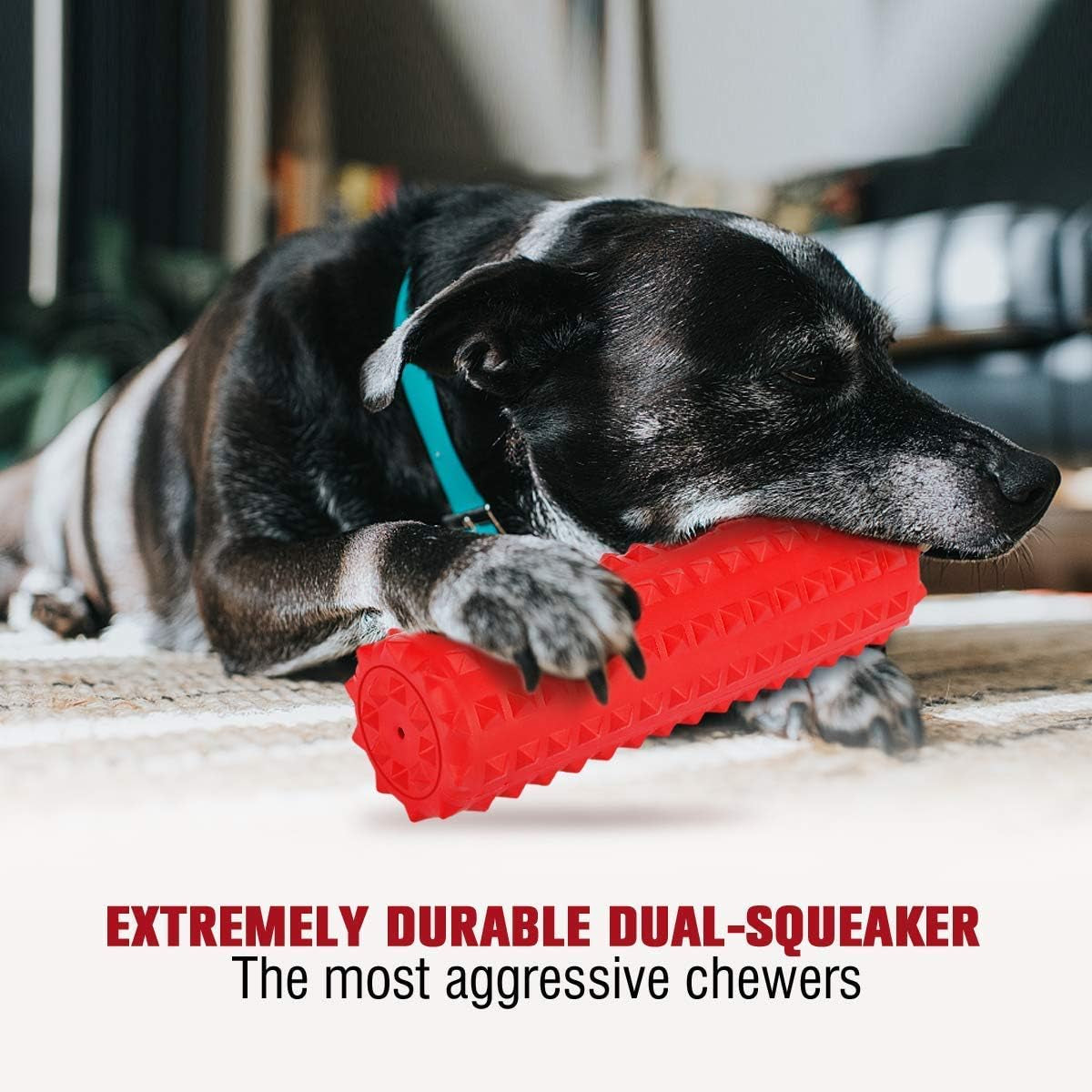 Dog Toy, Squeaky, Tough, Durable Stick Chew Toy for Large Dogs, Puppies and Aggressive Chewers with Non-Toxic Natural Rubber (Medium/Large Dog, Stick)