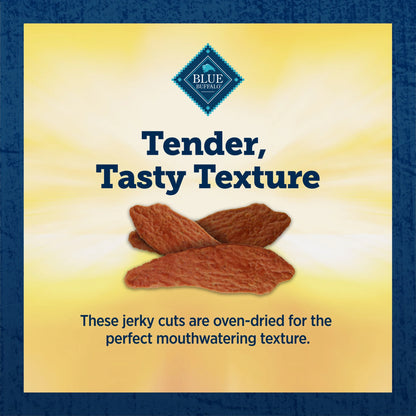 Premium Jerky Cuts Natural Dog Treats, Chicken, 22Oz Bag
