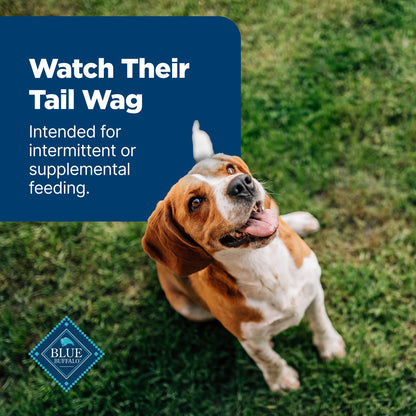 Nudges Tender Jerky Dog Treats, Chicken Recipe, 5-Oz. Bag