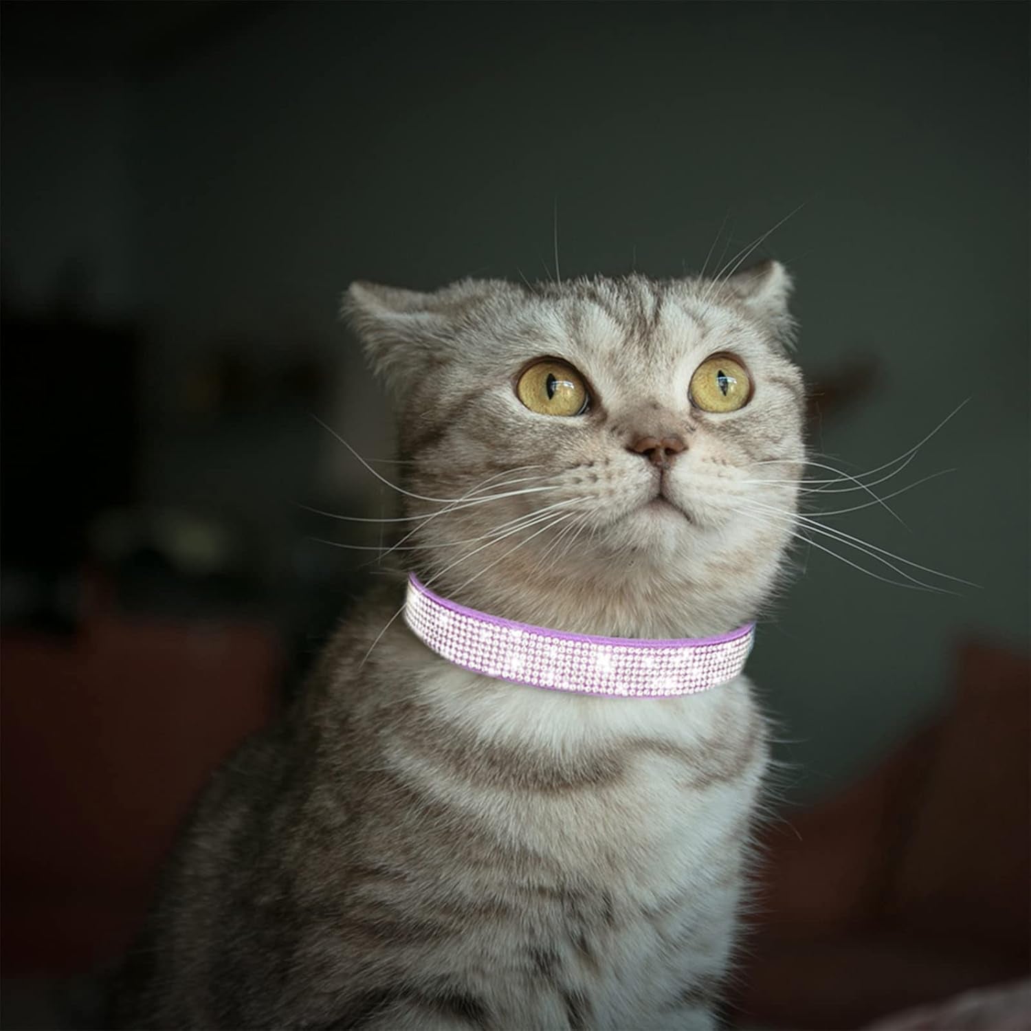 Rhinestone Dog Collar Soft Velvet Leather Cat Collars Cute Luxury Diamond Studded Bling Dog Collar Necklaces Adjustable Puppy Collar for Small Medium Large Dogs Cats Kitten (Purple,Xxs)