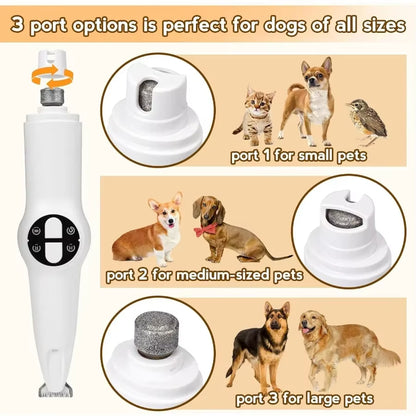 2 in 1 Electric Dog Paw Trimmer with Builtin Light for Grooming: Quiet Dog Clippers and Paw Shavers Kit for Small and Large Dog