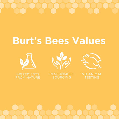 Bamboo Slicker Brush for Dogs and Puppies | Removes Knots, Debris, Loose Fur | Made of Bamboo and Recycled Materials, 24 Pack