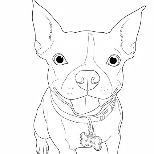 Winnie Belle's Barkery