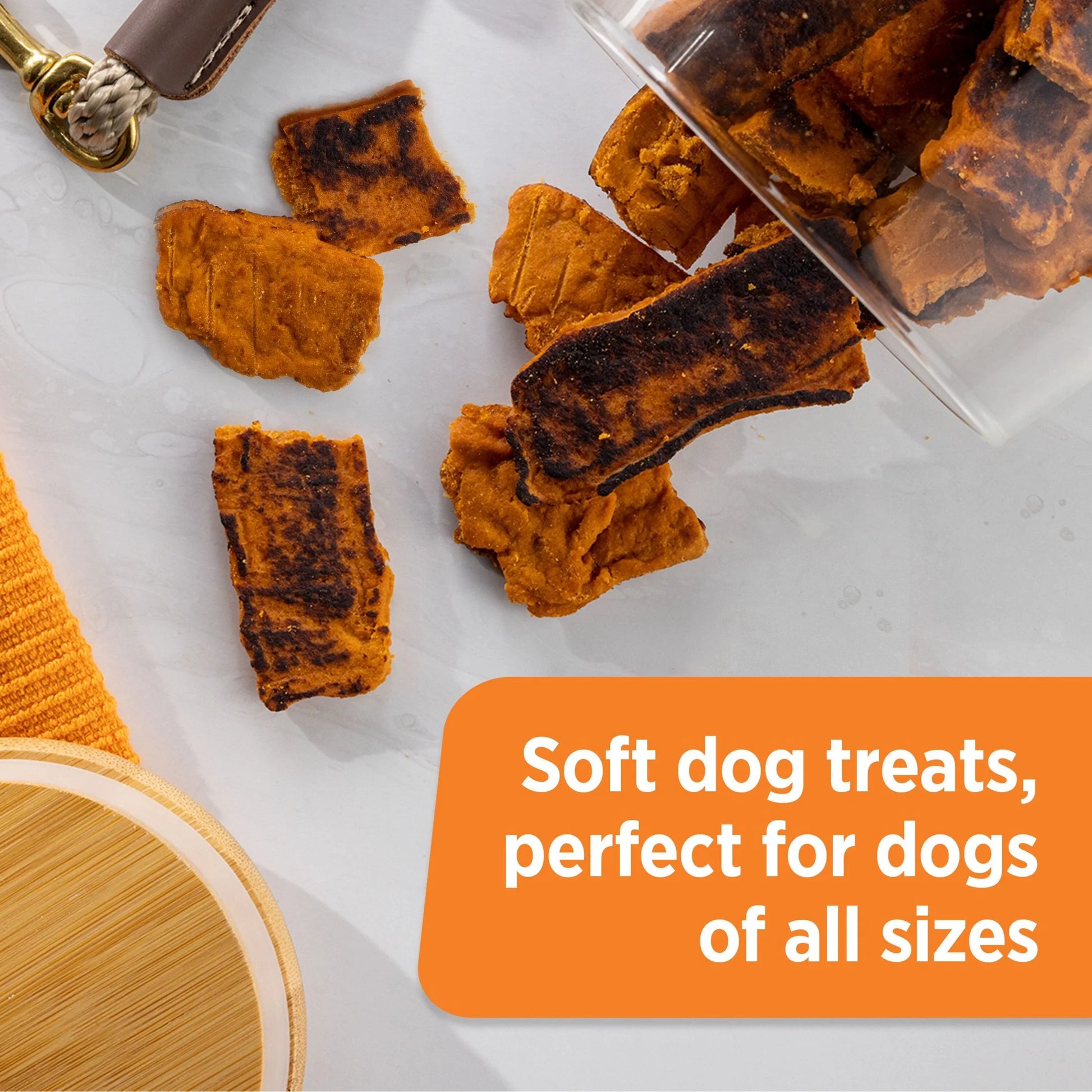 Rachael Ray  Turkey Bites Dry Dog Treats, Turkey & Hickory Smoke Bacon Soft Treats, 5 Oz. Pouch