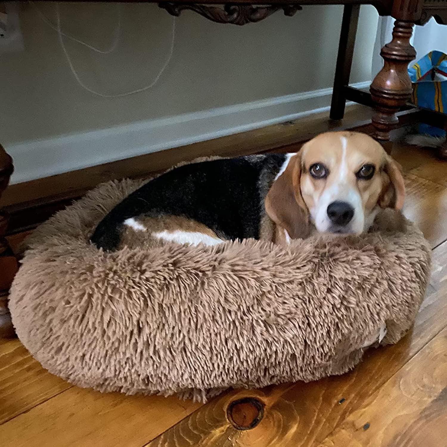 Comfortable round Plush Dog Beds, Calming Dog Bed for Small Medium and Large Dogs - XL