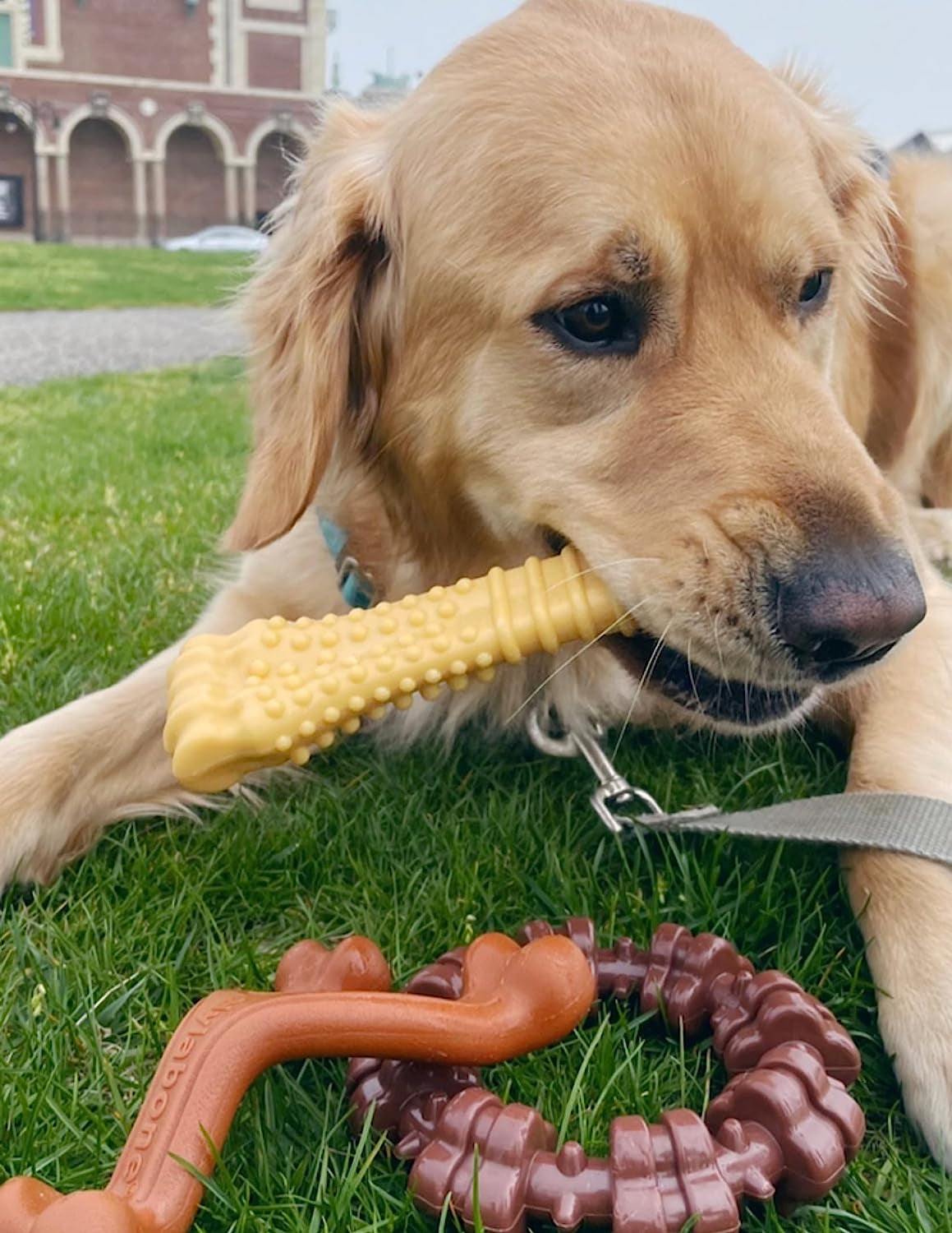 Customer Favorites Power Chew Toy Bundle for Dogs, Indestructible Dog Toys for Aggressive Chewers, Pack of 3 Dog Toys, Flavor Medley, Large Dogs - up to 50 Lbs, 3 Pack