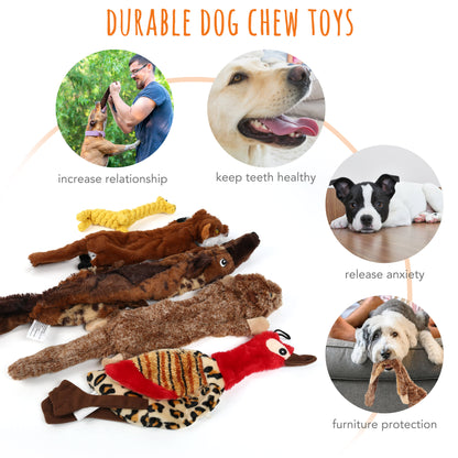 5 Dog Squeaky Toys for Small Dog, No Stuffing