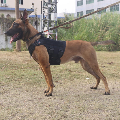 GN5 Tactical Dog Harness for X-Large Sized Dogs,Hook and Loop Panels,Walking Training Work Dog MOLLE Vest with Handle,No Pulling Front Leash Clip (XL :Chest:32"-39", Black)
