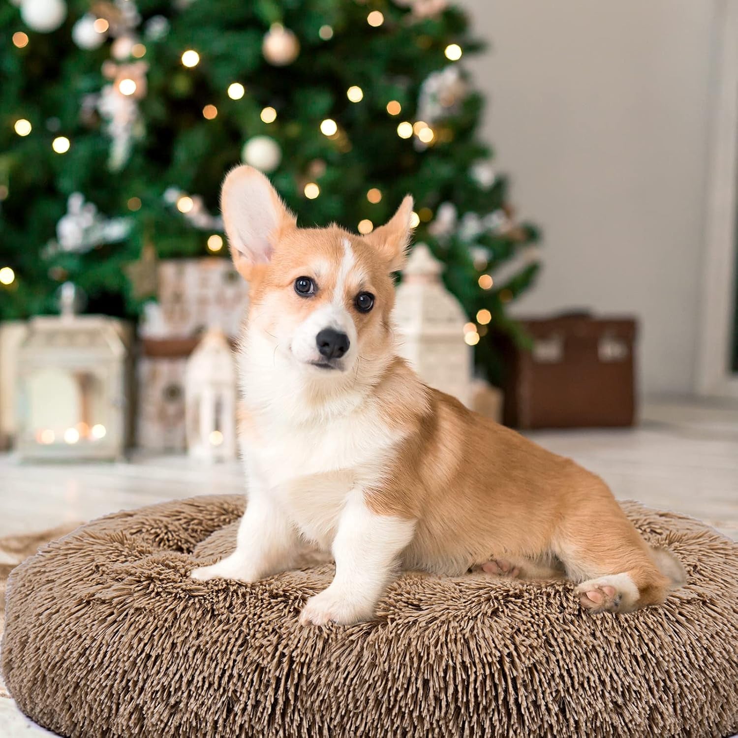 Dog Bed Donut Cuddler Pet Bed, Flurry Warming round Dog Bed Cat Cushion Bed Ultra Soft Mat for Dogs and Cats, Indoor Sleeping Bed (Khaki-31X31 Inch)